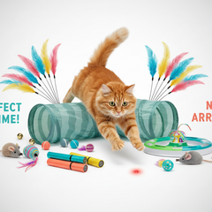 Collection image for: Play & Pounce