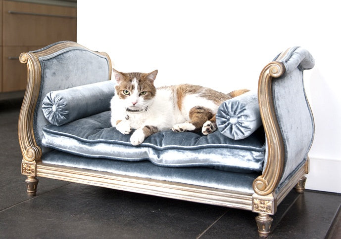 <h2>Save your furniture without sacrificing your style</h2>