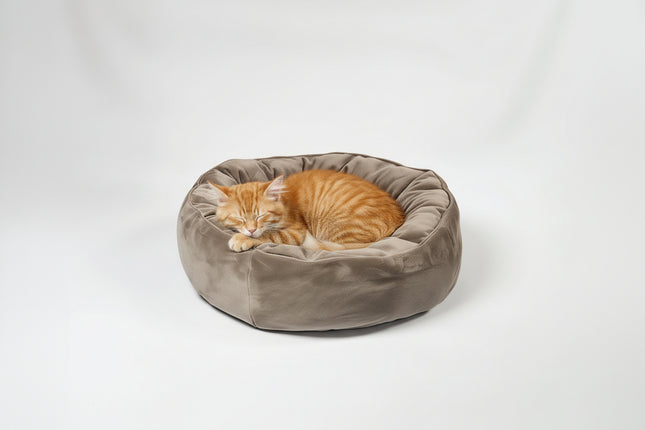 cat's bed