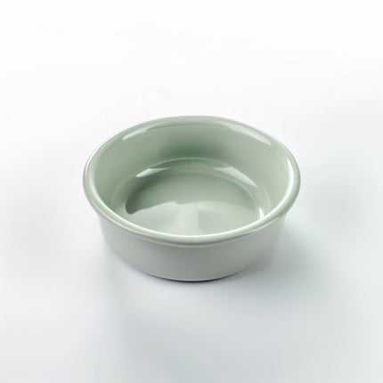 bowl for cats
